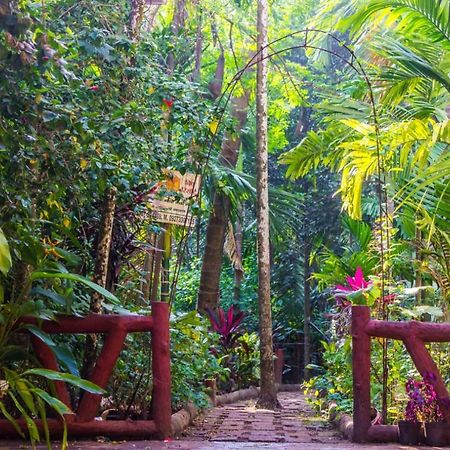 Maitreya Beach Resort Diveagar Luaran gambar