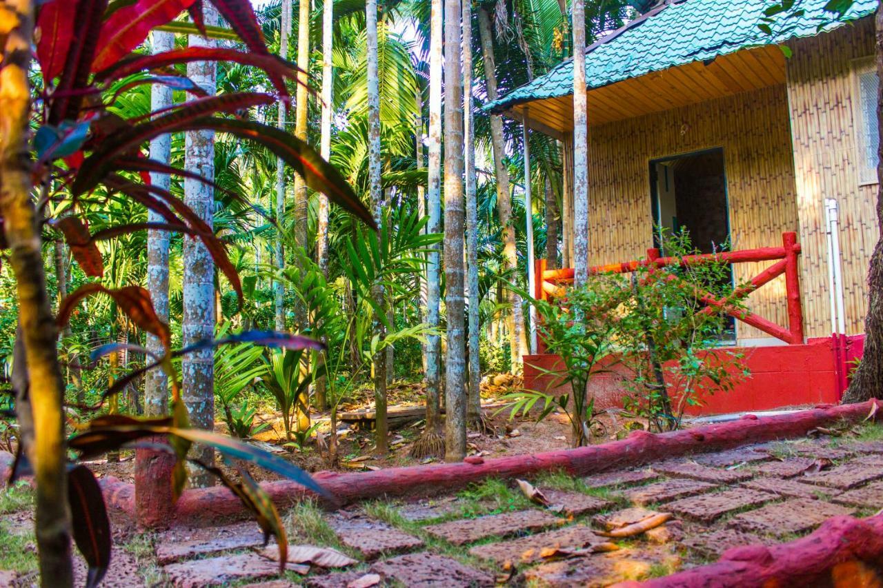 Maitreya Beach Resort Diveagar Luaran gambar